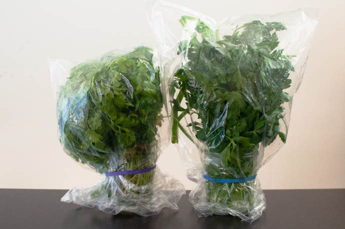 How to store herbs for longer lifetime | Cook Smarts by Jess Dang How to store herbs for longer lifetime | Cook Smarts by Jess Dang