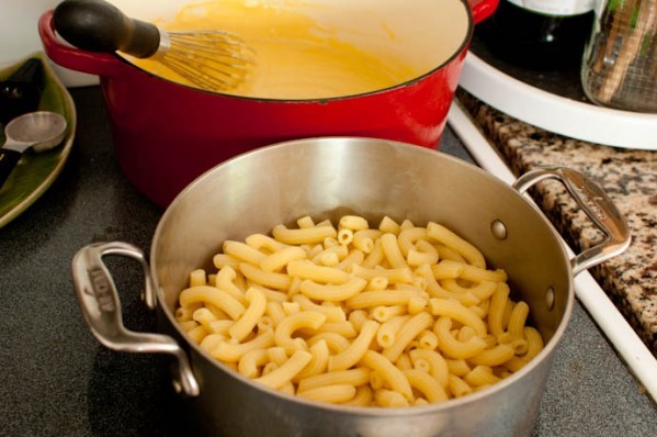 Drained pasta for macaroni and cheese Drained pasta for macaroni and cheese