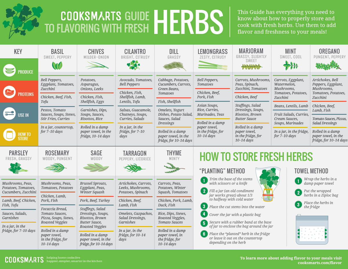 Culinary Herb Chart