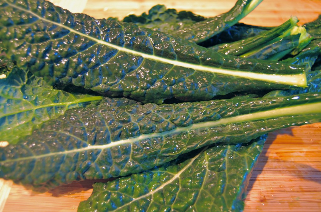20120111_Kale_01 Lacinato or Dino Kale | Cook Smarts by Jess Dang