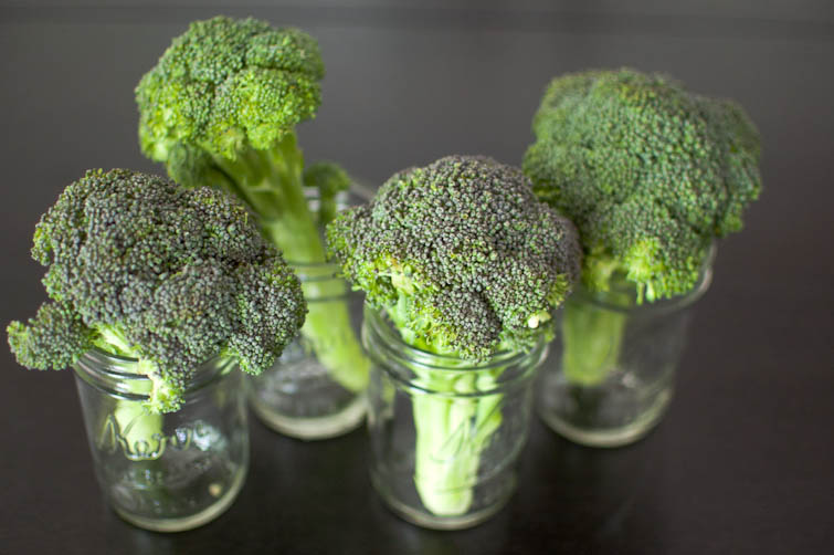 20120403-Broccoli-01 Broccoli Recipes | Ingredient Spotlight | Cook Smarts by Jess Dang