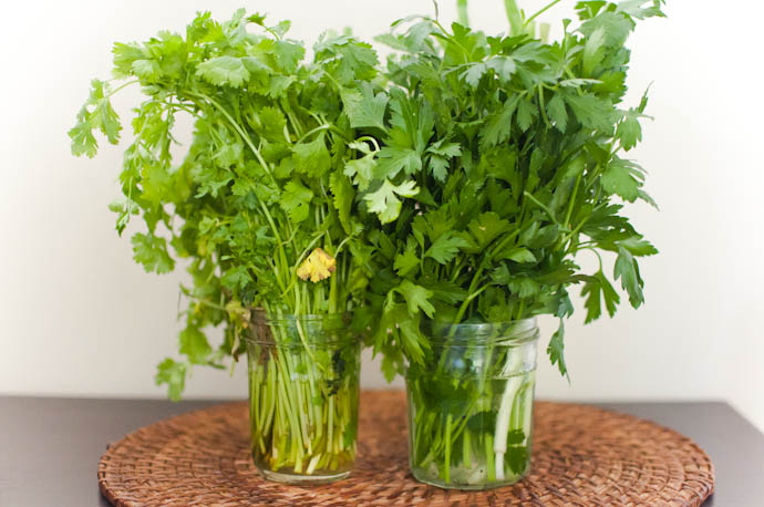 How to store herbs for longer lifetime | Cook Smarts by Jess Dang