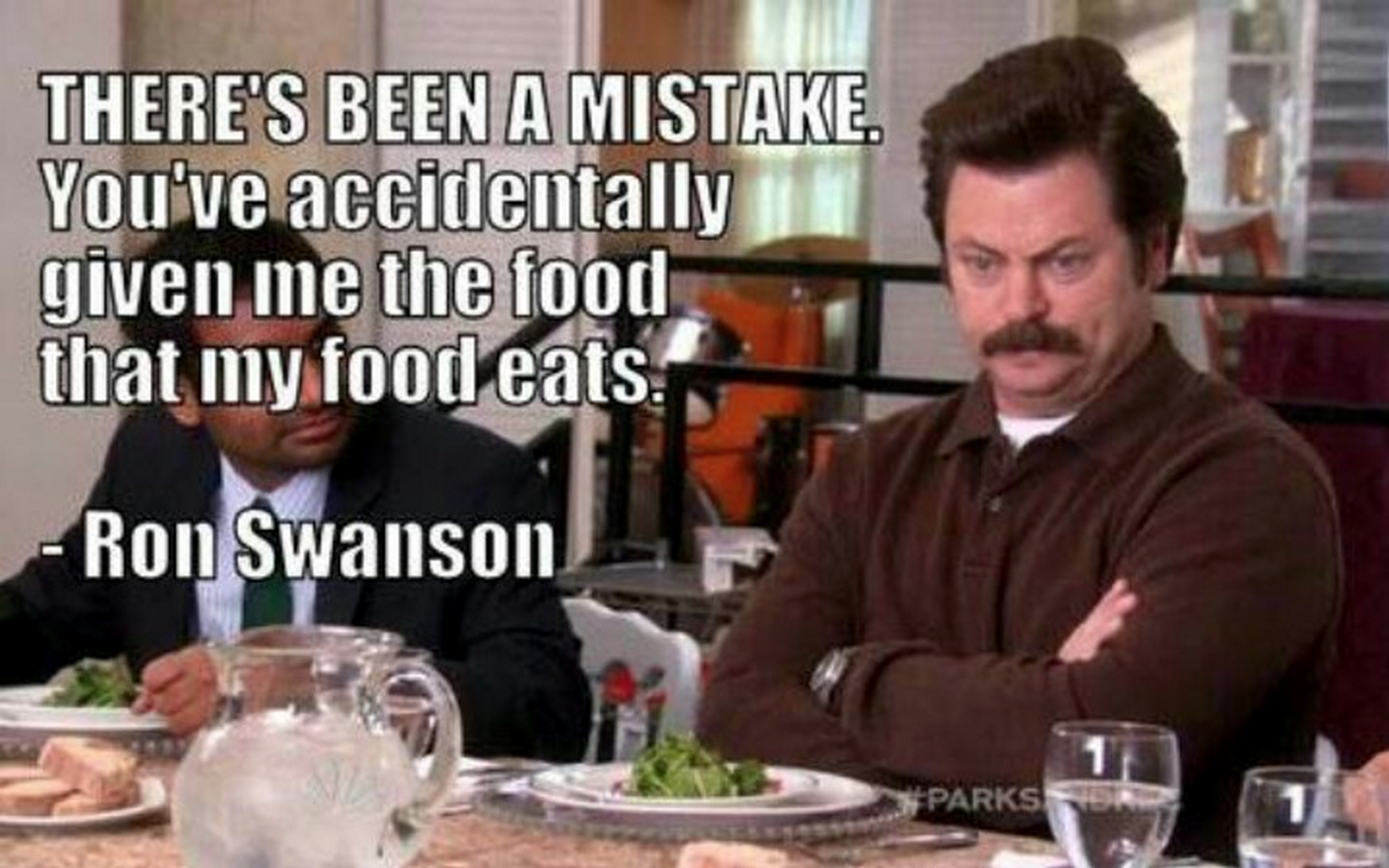 Parks and Rec Ron Swanson meme