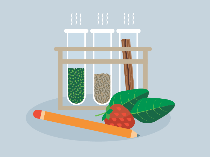 Fun Food Projects and Experiments for Kids! | Cook Smarts
