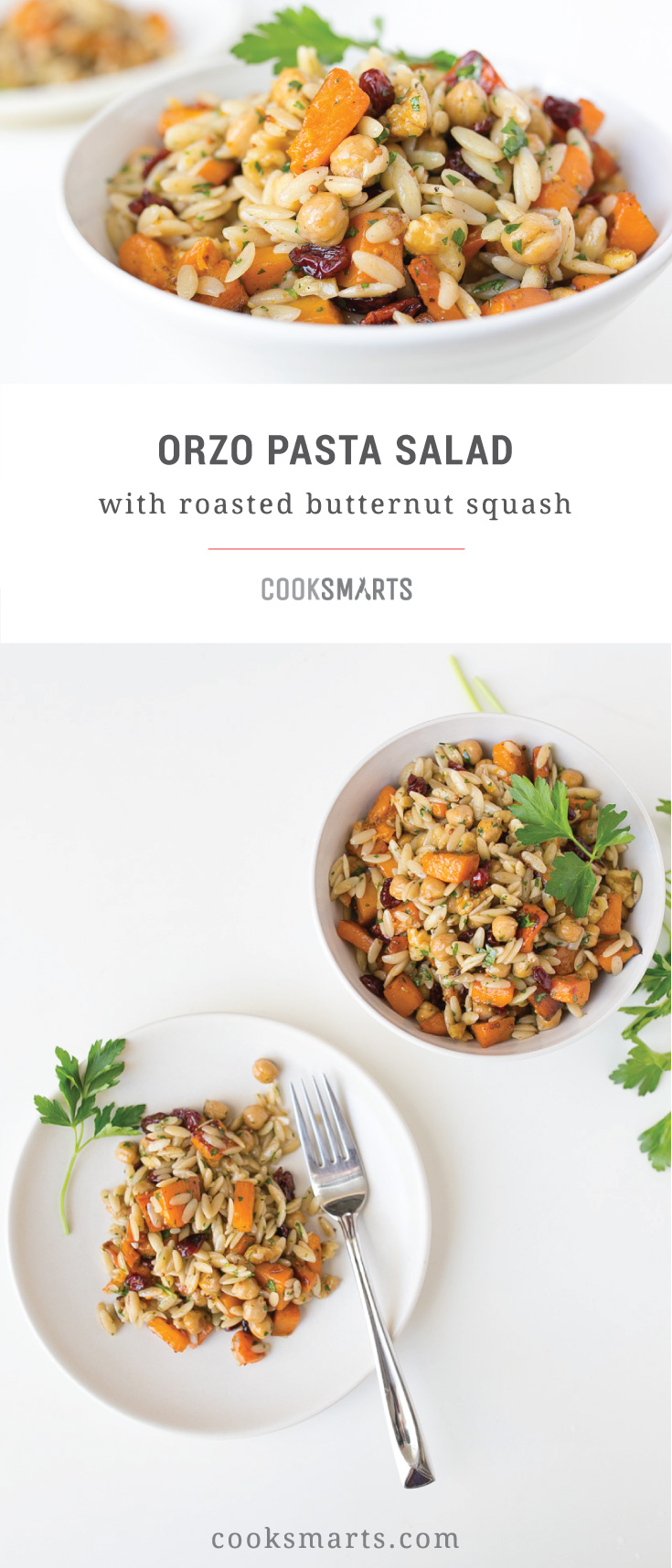 Cook Smarts Recipe: Orzo Pasta Salad with Roasted Butternut Squash