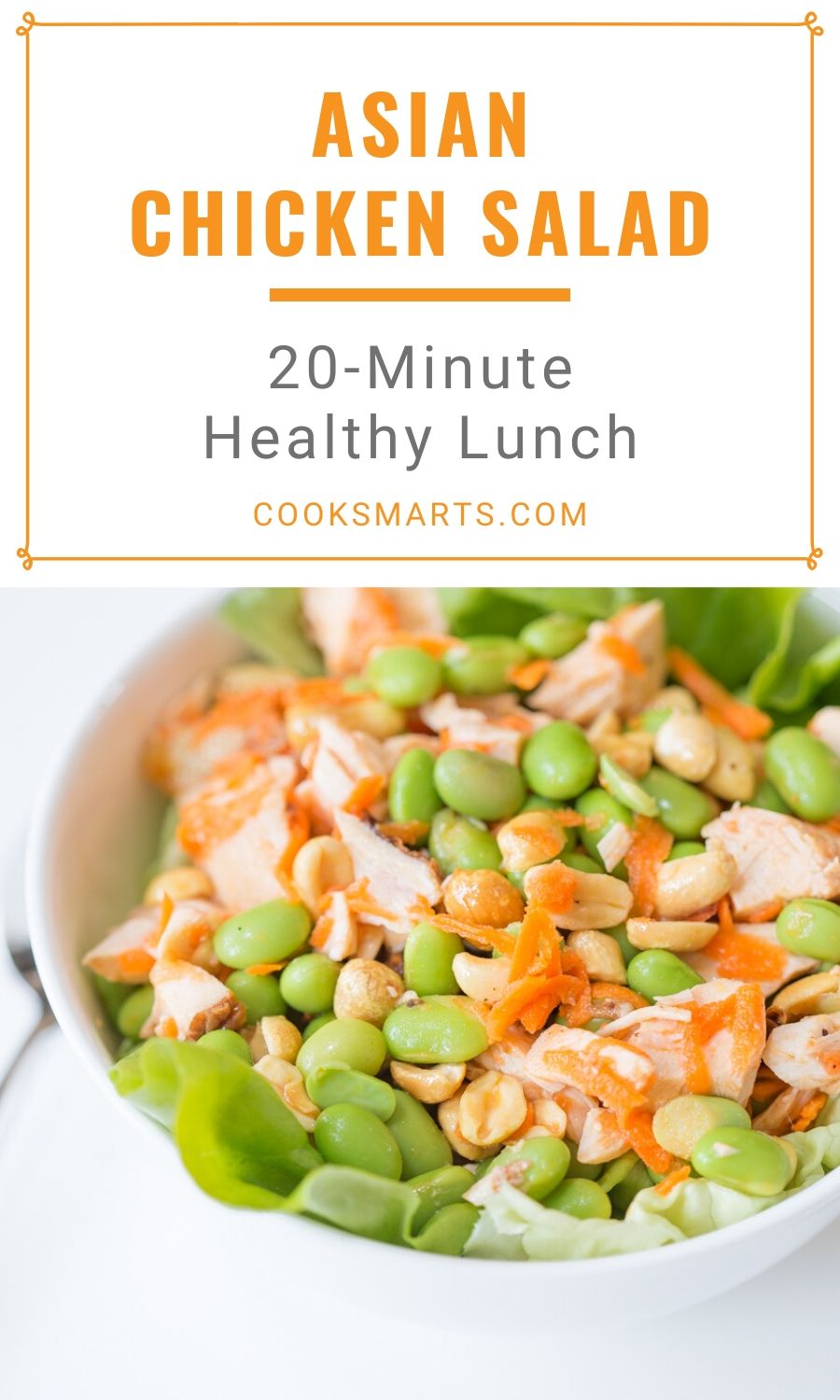 Healthy 20 Minute Lunch: Asian Chicken Salad | Cook Smarts