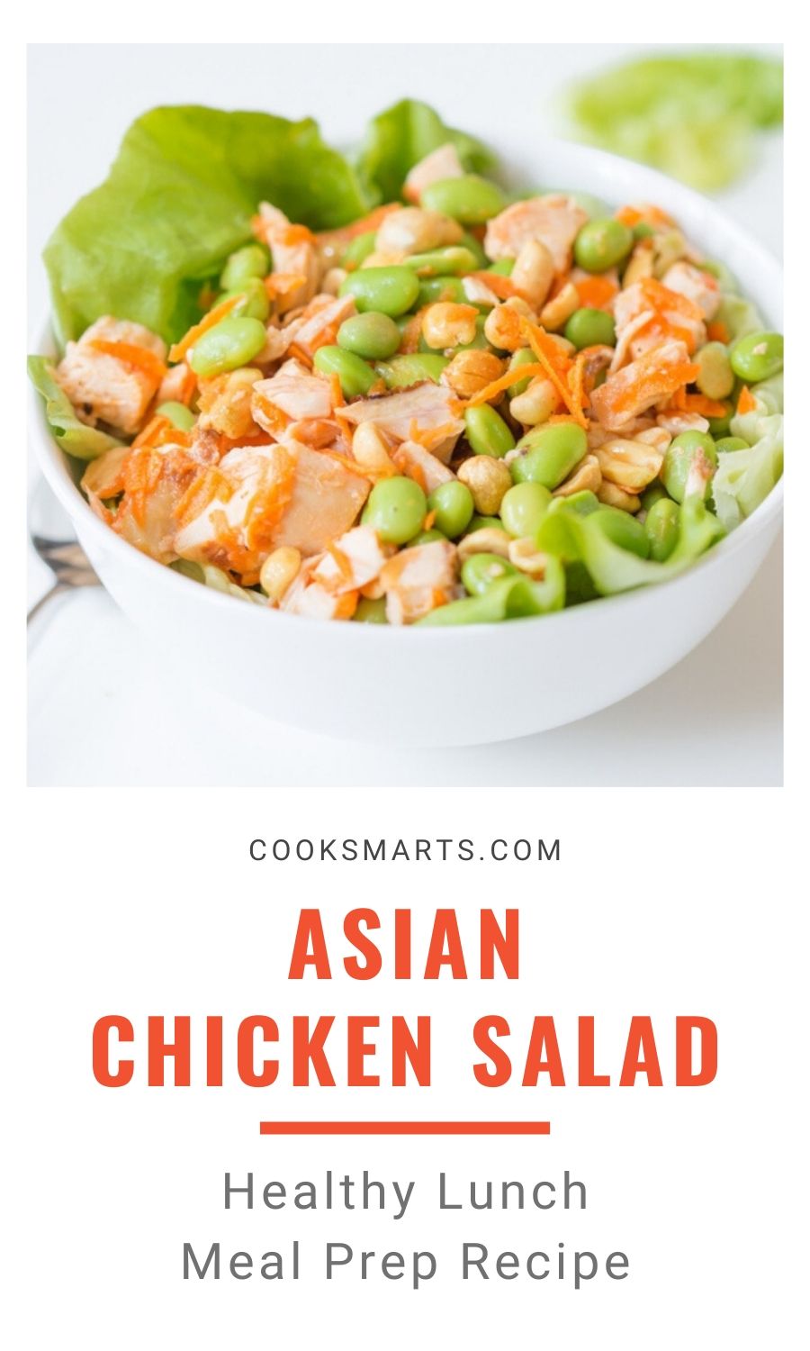 Healthy 20 Minute Lunch: Asian Chicken Salad | Cook Smarts