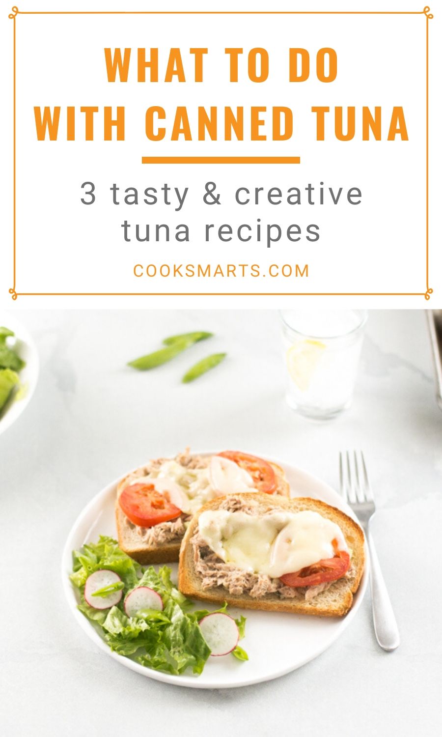 3 Ways to Use Tuna | Cook Smarts