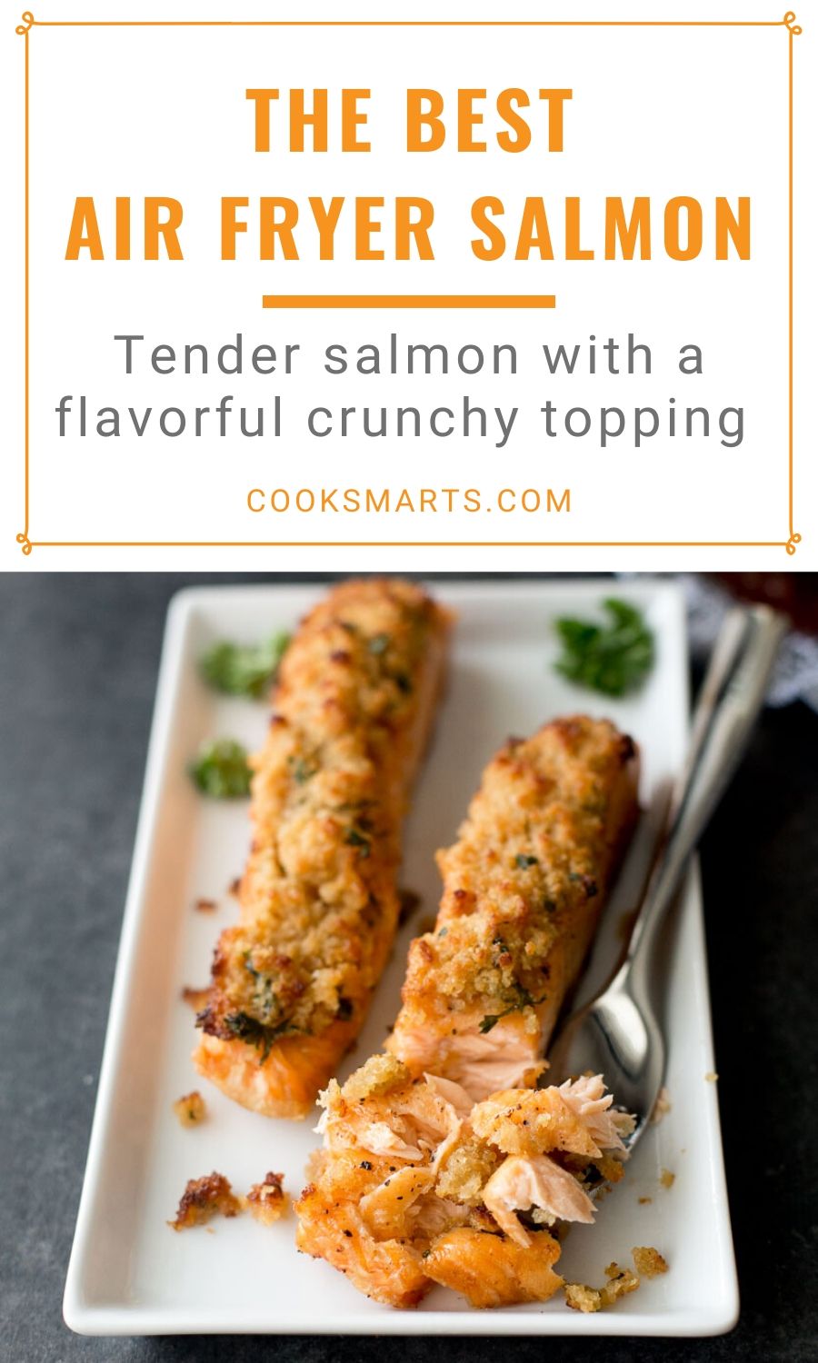 The Best Air Fryer Salmon with Panko Crust Recipe Cook Smarts